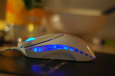 mouse